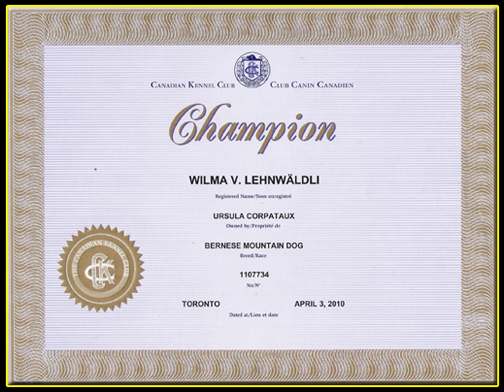 Champion